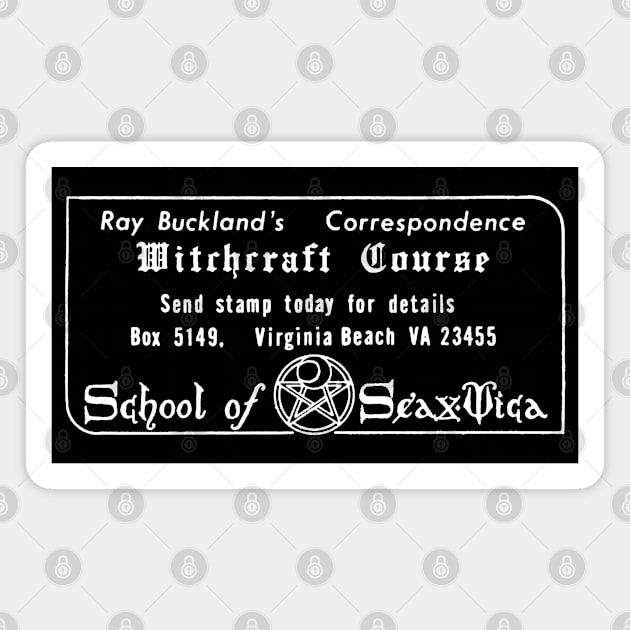 Witchcraft Course / Cult Classic Wicca Advertisement Magnet by CultOfRomance